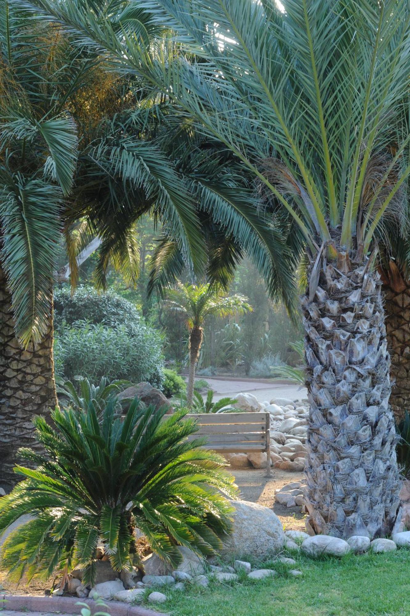 Hotel Le Belvedere Porto-Vecchio  Dış mekan fotoğraf